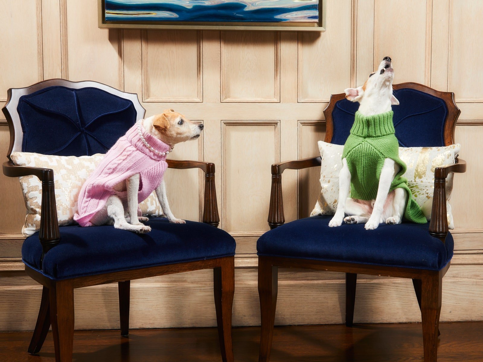 A Glamorous Day at Home With Mariah Carey’s Beloved Jack Russell Terriers